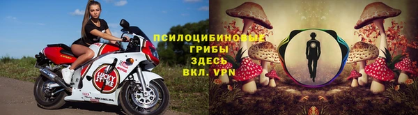 PSILOCYBIN Зеленокумск