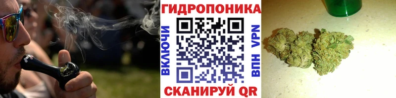 Шишки марихуана OG Kush  Купить  Камень-на-Оби 